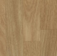 11562 tropical beech